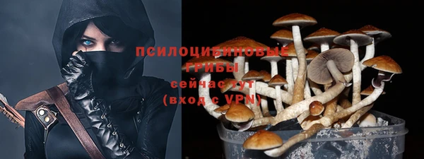 молекула духа Алзамай