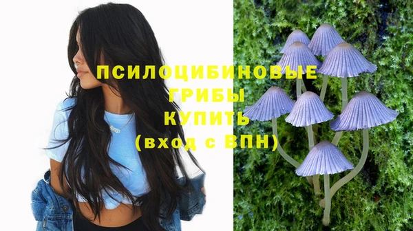 молекула духа Алзамай