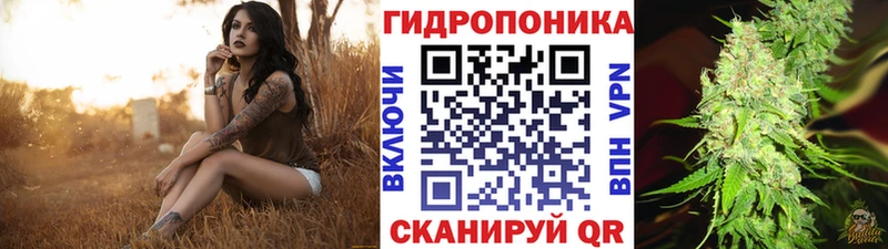Конопля гибрид  blacksprut   Котово 
